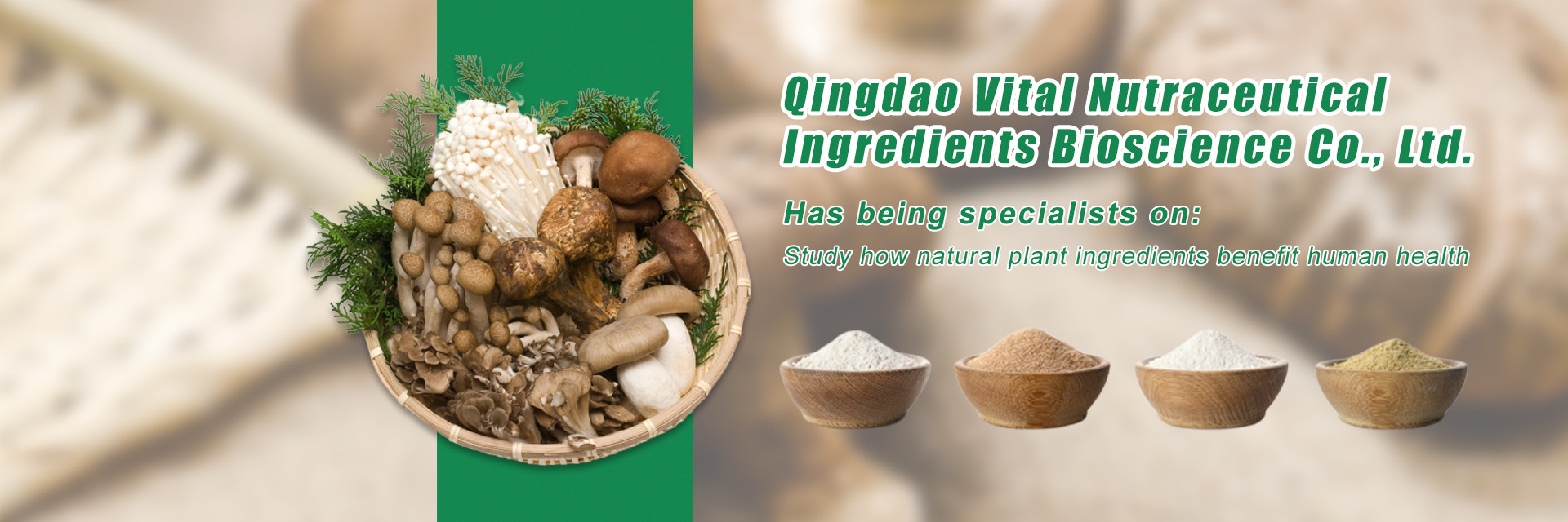 qualità Estratto di erbe vegetali fabbrica